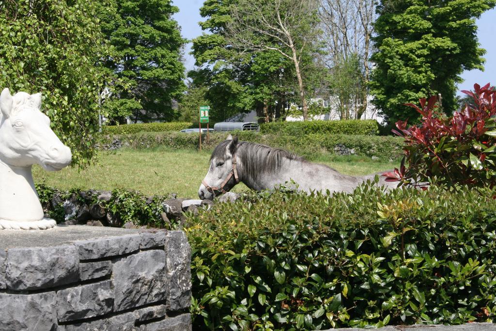 Carrowntober House B & B Oughterard Zewnętrze zdjęcie